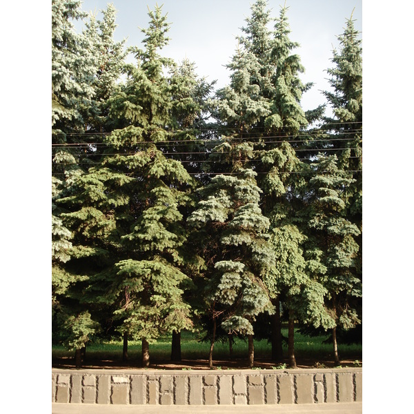 รูปถ่าย รัสเซีย(Russia) นิชนีย์นอฟโกร็อด(Nizhniy Novgorod) 2006-07 84