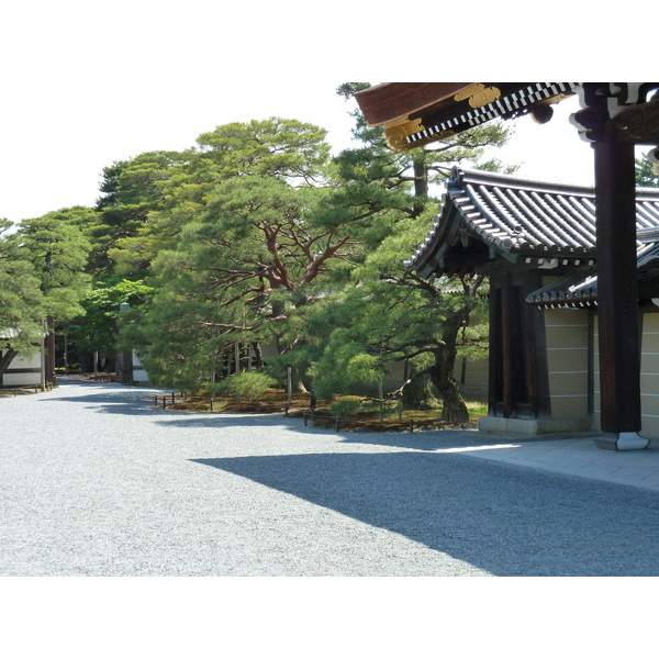 รูปถ่าย ญี่ปุ่น(Japan) เกียวโต(Kyoto) พระราชวังหลวงเกียวโต(Kyoto Imperial Palace) 2010-06 138