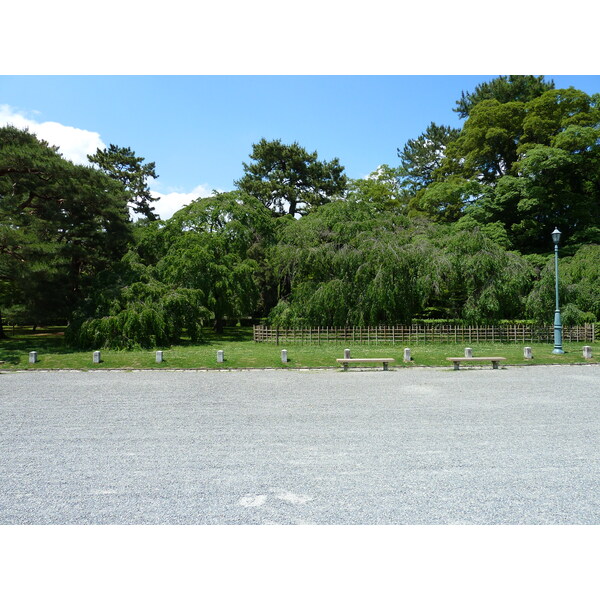 รูปถ่าย ญี่ปุ่น(Japan) เกียวโต(Kyoto) สวนเกียวโตเกียวเอ็ง(Kyoto Gyoen Garden) 2010-06 3