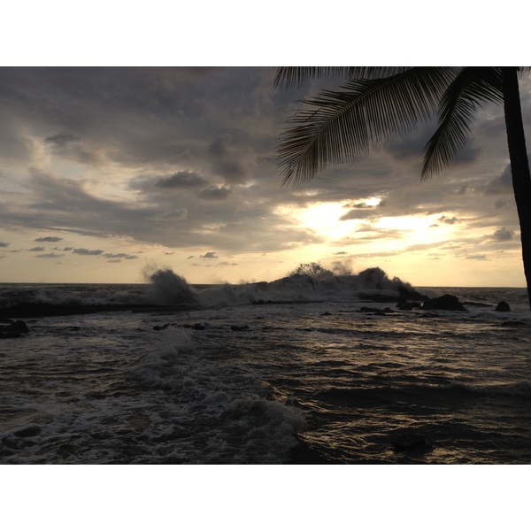 รูปถ่าย คอสตาริกา(Costa Rica) โดมินิกัล(Dominical) 2015-03 4
