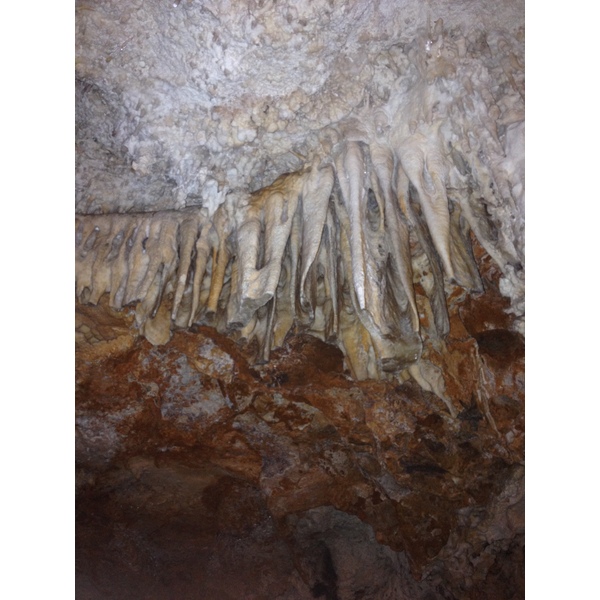 รูปถ่าย อิตาลี(Italy) ซาร์ดิเนีย(Sardinia) แหลมกาโปกัชชา(Capo Caccia) 2015-06 79