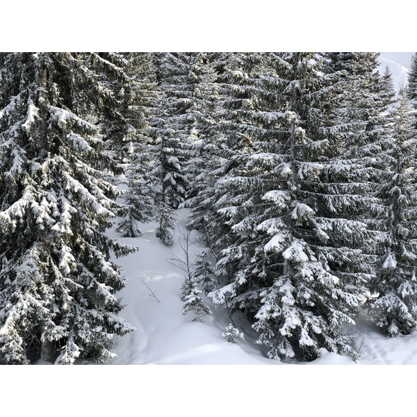 รูปถ่าย ฝรั่งเศส(France) ลากลูซา(La Clusaz) 2017-12 289