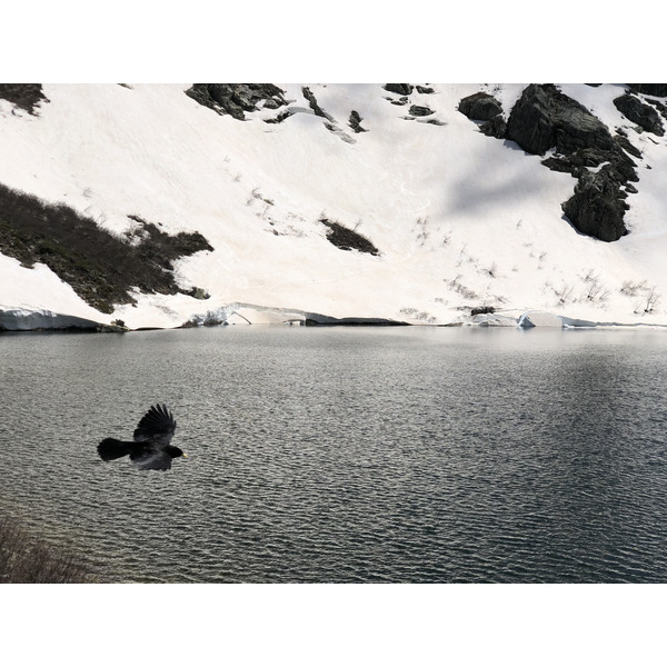 รูปถ่าย ฝรั่งเศส(France) คอร์สิคา(Corsica) ทะเลสาบเมโลและกาปีเตลโล(Lac de Melo et Capitello) 2021-06 103