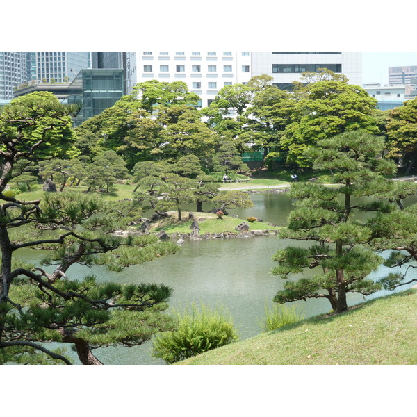 รูปถ่าย ญี่ปุ่น(Japan) โตเกียว(Tokyo) สวนคิวชิบะริคิว(Kyu Shiba rikyu Gardens) 2010-06 28