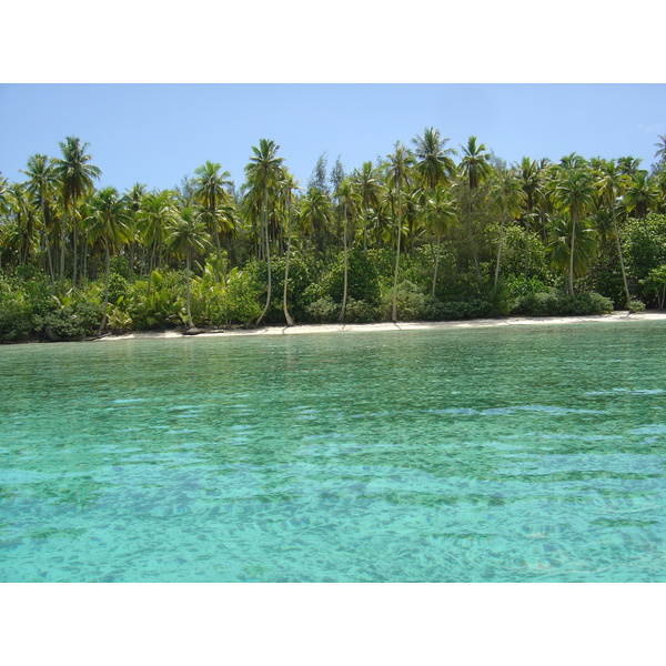 รูปถ่าย เฟรนช์โพลี่นีเซีย(Polynesia) มูเรีย(Moorea) 2006-04 209