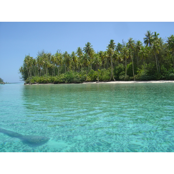 รูปถ่าย เฟรนช์โพลี่นีเซีย(Polynesia) มูเรีย(Moorea) 2006-04 201