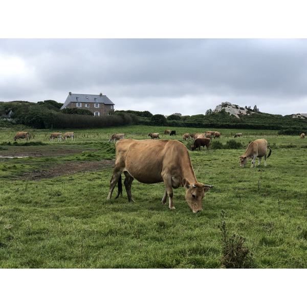 รูปถ่าย ฝรั่งเศส(France) เกาะเบรอา(Brehat Island) 2020-06 215