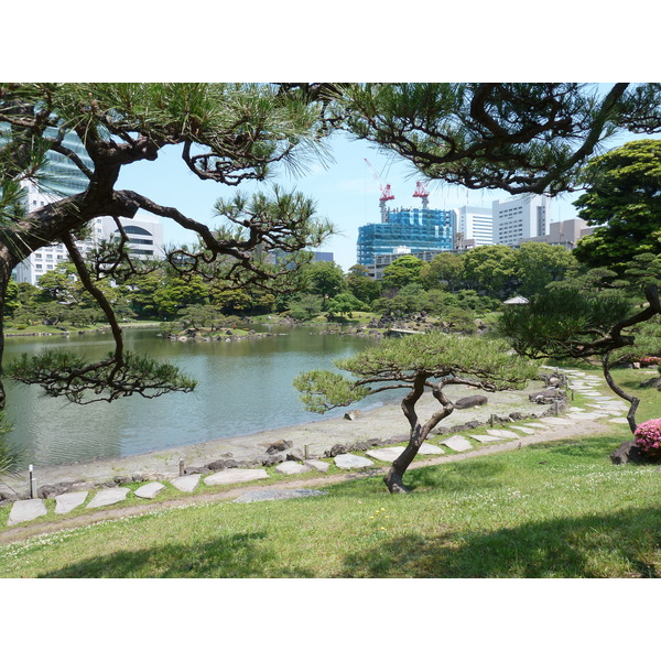 รูปถ่าย ญี่ปุ่น(Japan) โตเกียว(Tokyo) สวนคิวชิบะริคิว(Kyu Shiba rikyu Gardens) 2010-06 49