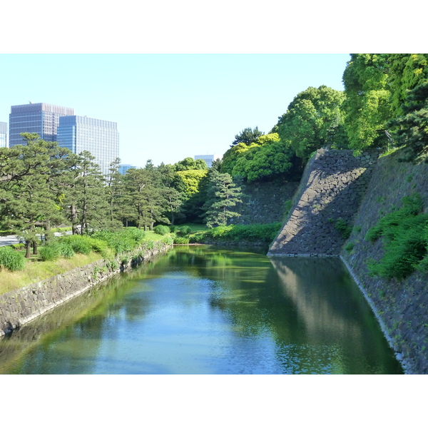 รูปถ่าย ญี่ปุ่น(Japan) โตเกียว(Tokyo) พระราชวังหลวง(Imperial Palace) 2010-06 40