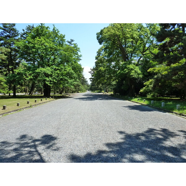 รูปถ่าย ญี่ปุ่น(Japan) เกียวโต(Kyoto) สวนเกียวโตเกียวเอ็ง(Kyoto Gyoen Garden) 2010-06 4