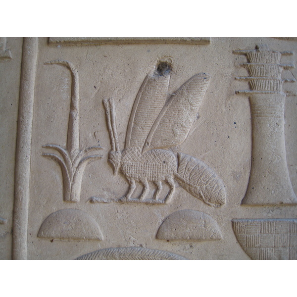 รูปถ่าย อียิปต์(Egypt) ลูซอร์(Luxor) 2007-04 25