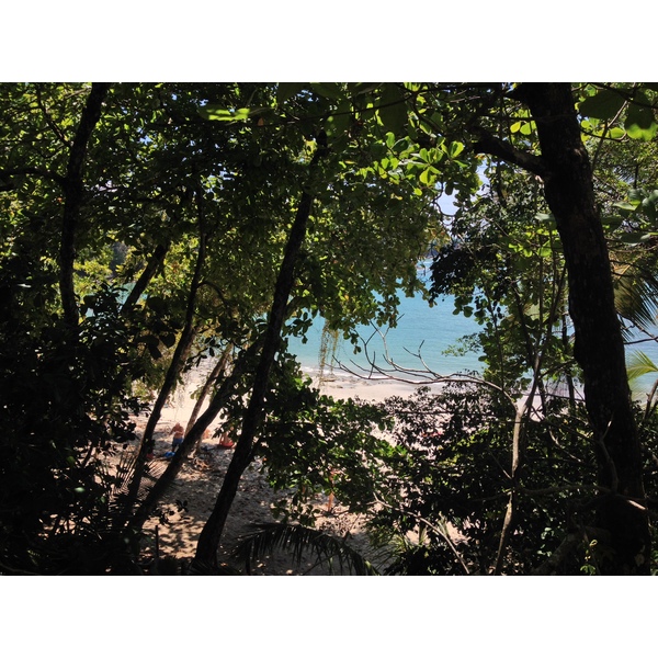 รูปถ่าย คอสตาริกา(Costa Rica) มานวยล์อันโตนีโอ(Manuel Antonio) 2015-03 236