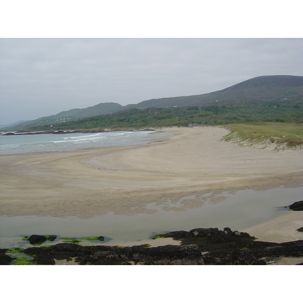 รูปถ่าย ไอร์แลนด์(Ireland) เคอร์รี่(Kerry) ปาร์คนาสิลล่า(Parknasilla) 2004-05 52