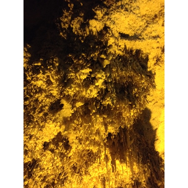 รูปถ่าย อิตาลี(Italy) ซาร์ดิเนีย(Sardinia) แหลมกาโปกัชชา(Capo Caccia) 2015-06 67