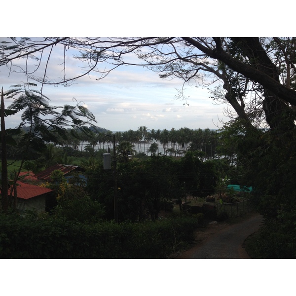 รูปถ่าย คอสตาริกา(Costa Rica) โดมินิกัล(Dominical) 2015-03 25