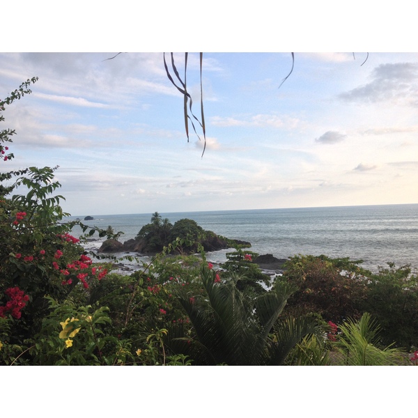 รูปถ่าย คอสตาริกา(Costa Rica) โดมินิกัล(Dominical) 2015-03 28