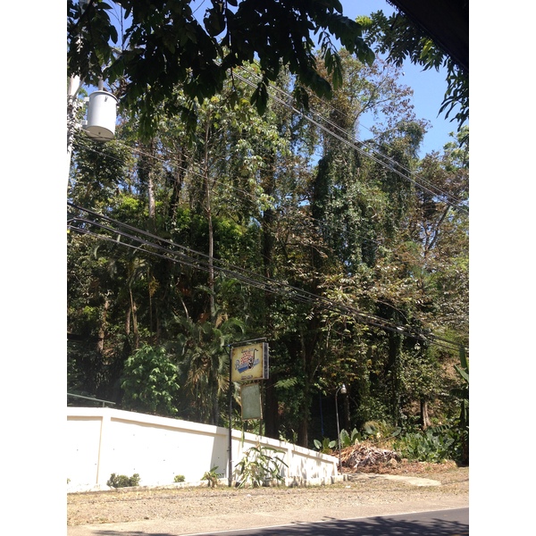รูปถ่าย คอสตาริกา(Costa Rica) มานวยล์อันโตนีโอ(Manuel Antonio) 2015-03 2