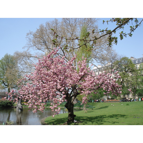 รูปถ่าย ฝรั่งเศส(France) ปารีส(Paris) สวนบาตีญอล(Square des Batignolles) 2006-04 2
