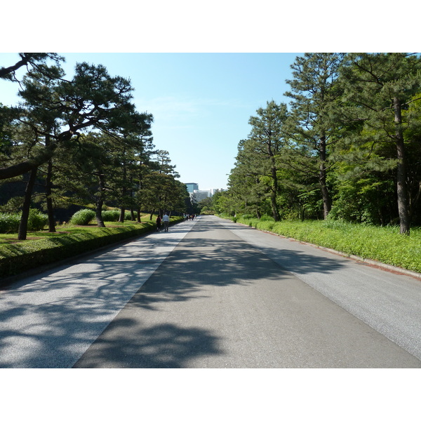 รูปถ่าย ญี่ปุ่น(Japan) โตเกียว(Tokyo) พระราชวังหลวง(Imperial Palace) 2010-06 16