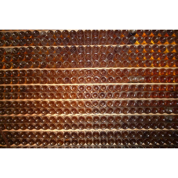 รูปถ่าย ฝรั่งเศส(France) มงบาซียัก(Monbazillac) 2010-08 58