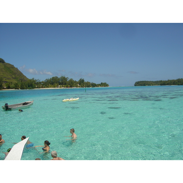 รูปถ่าย เฟรนช์โพลี่นีเซีย(Polynesia) มูเรีย(Moorea) 2006-04 190