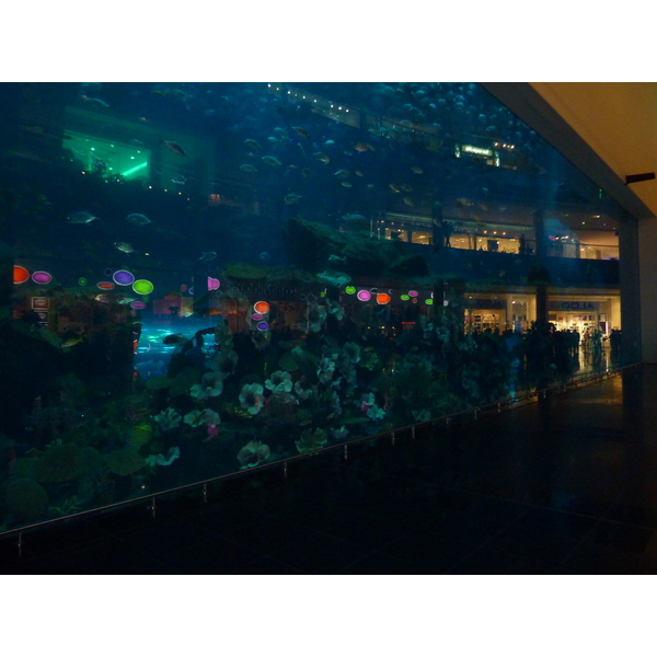 รูปถ่าย สหรัฐอาหรับเอมิเรตส์(United Arab Emirates) ดูไบ(Dubai) ดูไบมอลล์(The Dubai Mall) 2009-12 15