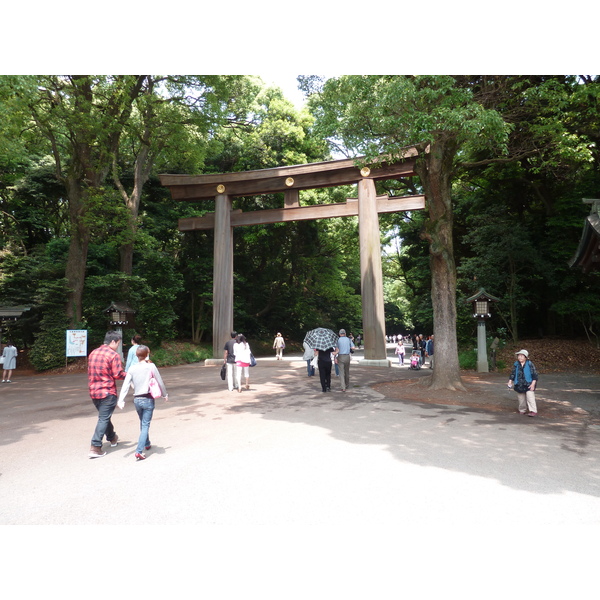 รูปถ่าย ญี่ปุ่น(Japan) โตเกียว(Tokyo) สวนโยโยงิ(Yoyogi Park) 2010-06 5