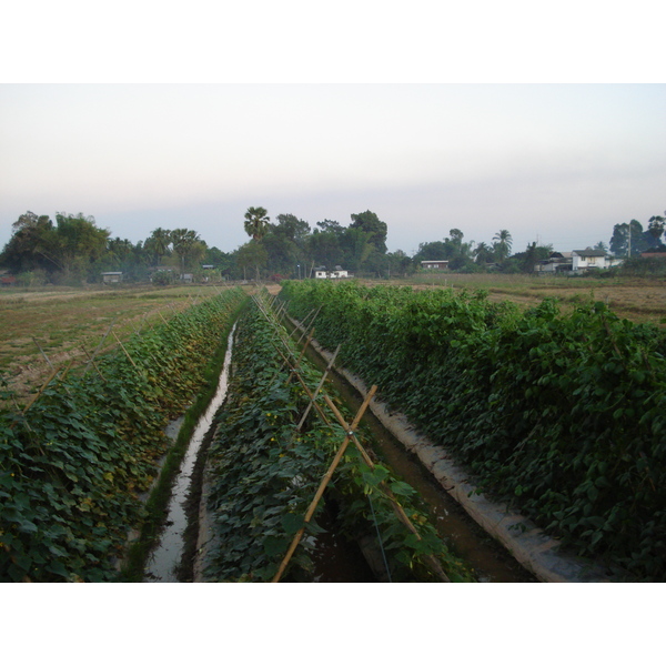 รูปถ่าย ไทย(Thailand) พิษณุโลก(Phitsanulok) ถนนจอมทอง(Jomthong Road) 2008-01 21