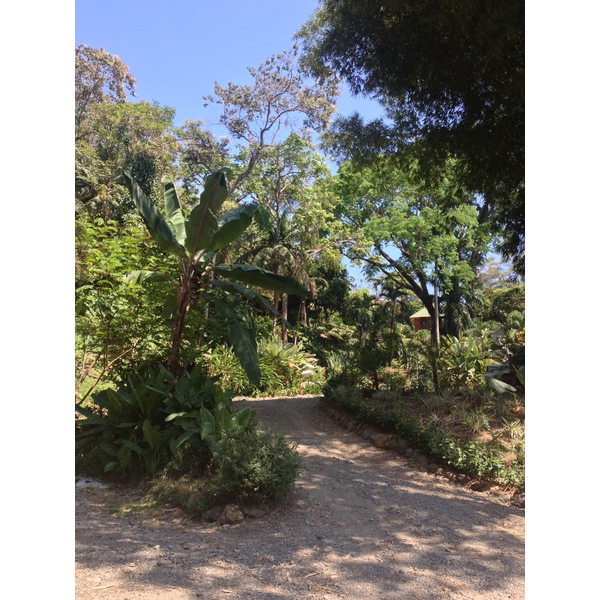 รูปถ่าย คอสตาริกา(Costa Rica) มานวยล์อันโตนีโอ(Manuel Antonio) 2015-03 38