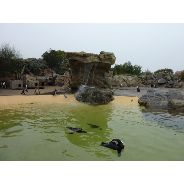 รูปถ่าย ฝรั่งเศส(France) เลอกรัวซิก(Le Croisic) โอเชียเรียม(Ocearium) 2009-10 5