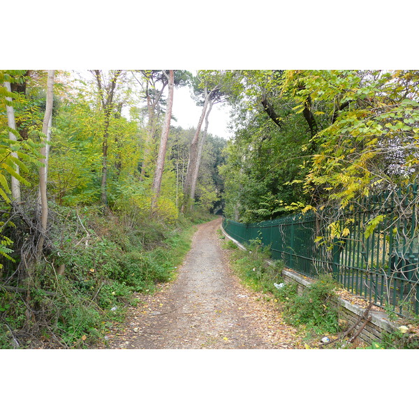 รูปถ่าย อิตาลี(Italy) โรม(Rome) ถนนการีบัลดี(Via Garibaldi) 2007-11 16