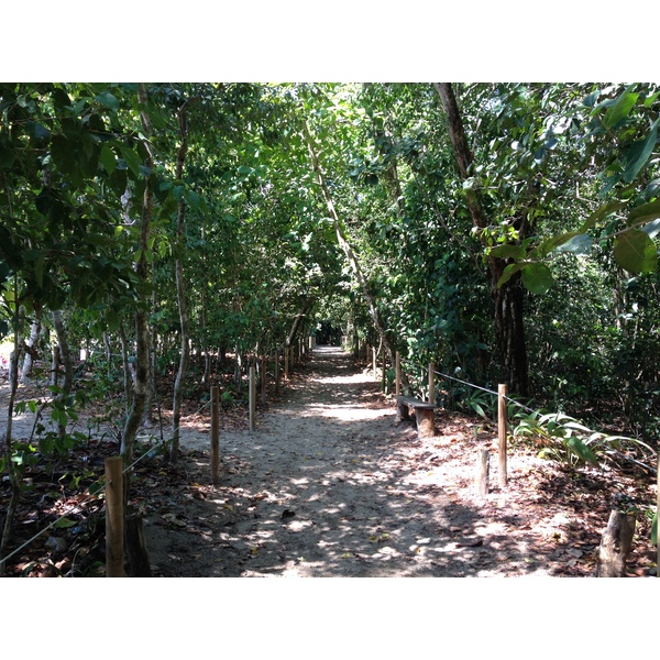รูปถ่าย คอสตาริกา(Costa Rica) มานวยล์อันโตนีโอ(Manuel Antonio) 2015-03 250