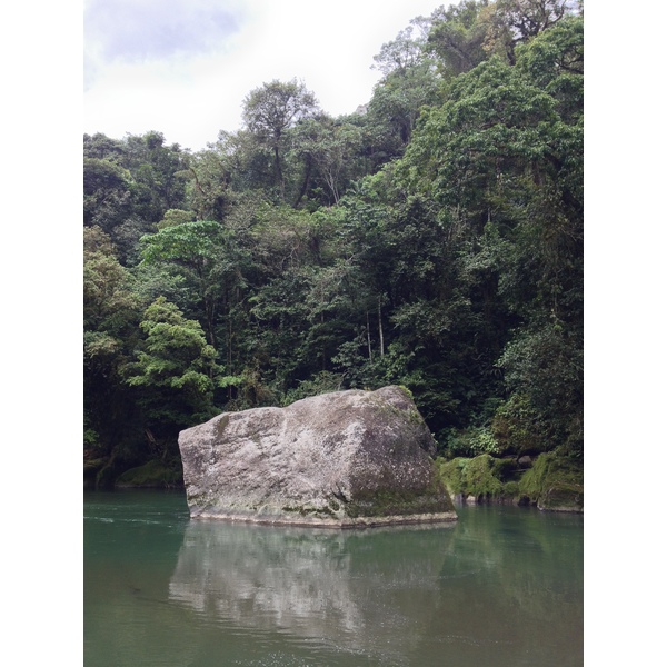 รูปถ่าย คอสตาริกา(Costa Rica) แม่น้ำปากัวเร(Pacuare River) 2015-03 268