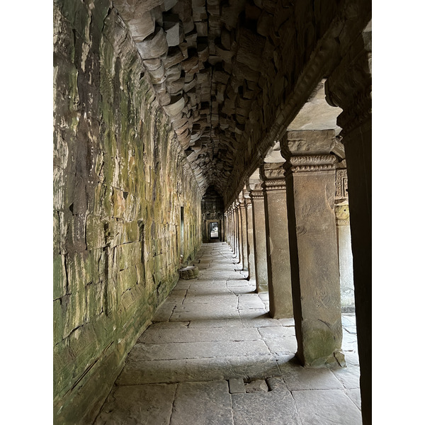รูปถ่าย กัมพูชา(Cambodia) เสียมราฐ(Siem Reap) ปราสาทตาพรหม(Ta Prohm) 2023-01 120