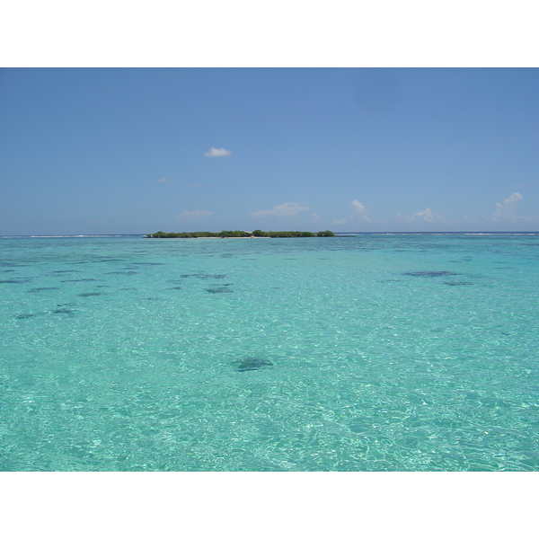 รูปถ่าย เฟรนช์โพลี่นีเซีย(Polynesia) มูเรีย(Moorea) 2006-04 91