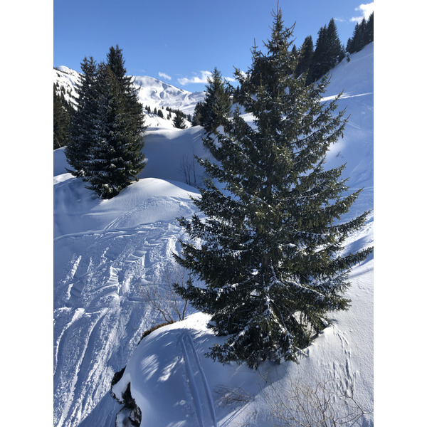 รูปถ่าย ฝรั่งเศส(France) เมแฌฟว์(Megeve) 2019-03 28