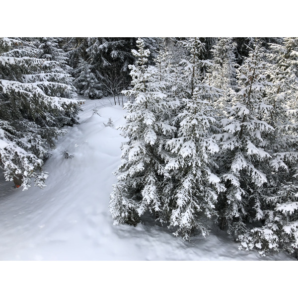 รูปถ่าย ฝรั่งเศส(France) ลากลูซา(La Clusaz) 2017-12 35