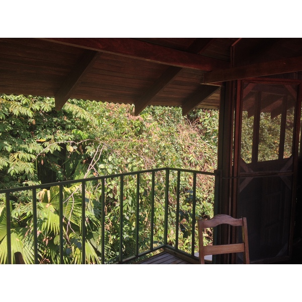 รูปถ่าย คอสตาริกา(Costa Rica) มานวยล์อันโตนีโอ(Manuel Antonio) 2015-03 528