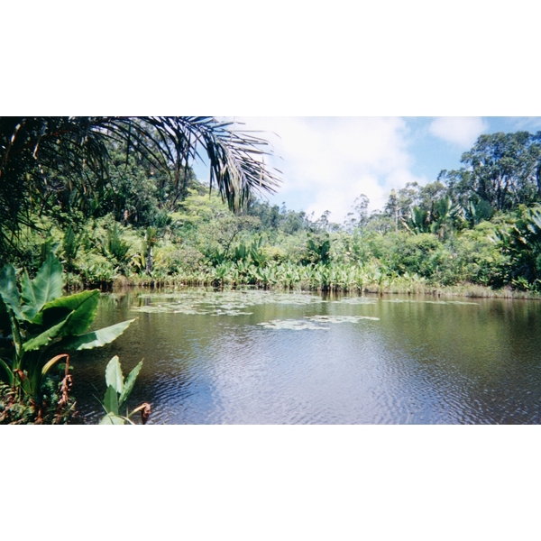 รูปถ่าย มาดากัสการ์(Madagascar) 1999-10 31