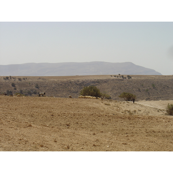 รูปถ่าย จอร์แดน(Jordan) ถนนจากเปตราไปดานา(Petra to Dana road) 2004-10 6