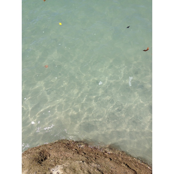รูปถ่าย คอสตาริกา(Costa Rica) มานวยล์อันโตนีโอ(Manuel Antonio) 2015-03 360