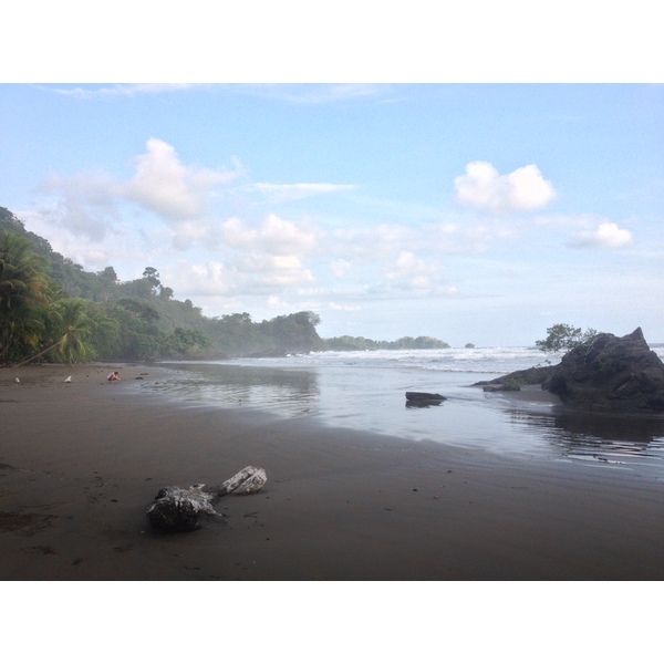 รูปถ่าย คอสตาริกา(Costa Rica) โดมินิกัล(Dominical) 2015-03 53