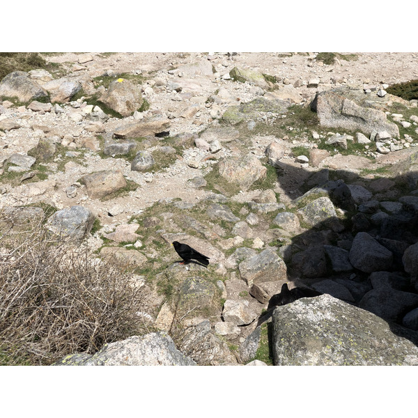 รูปถ่าย ฝรั่งเศส(France) คอร์สิคา(Corsica) ทะเลสาบเมโลและกาปีเตลโล(Lac de Melo et Capitello) 2021-06 221
