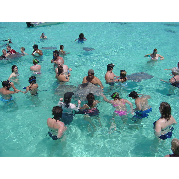 รูปถ่าย เฟรนช์โพลี่นีเซีย(Polynesia) มูเรีย(Moorea) 2006-04 127