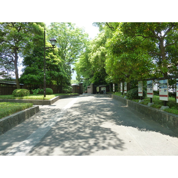 รูปถ่าย ญี่ปุ่น(Japan) โตเกียว(Tokyo) สวนคิวชิบะริคิว(Kyu Shiba rikyu Gardens) 2010-06 0