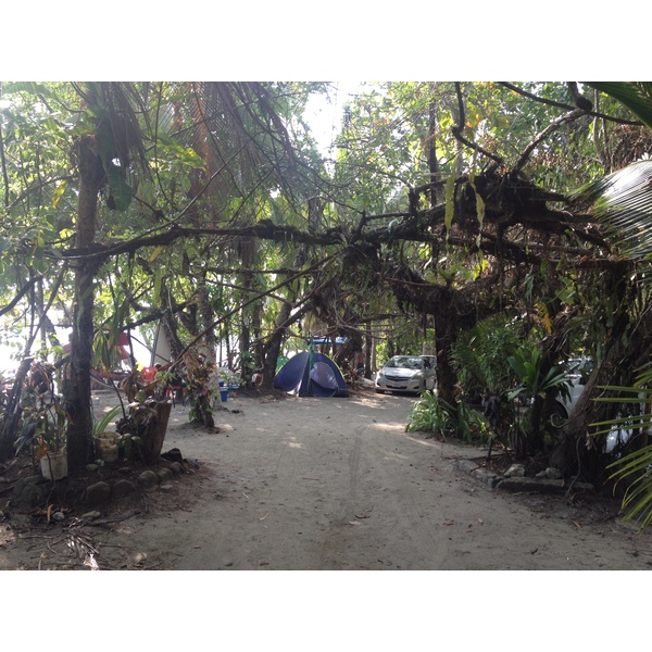 รูปถ่าย คอสตาริกา(Costa Rica) มานวยล์อันโตนีโอ(Manuel Antonio) 2015-03 244
