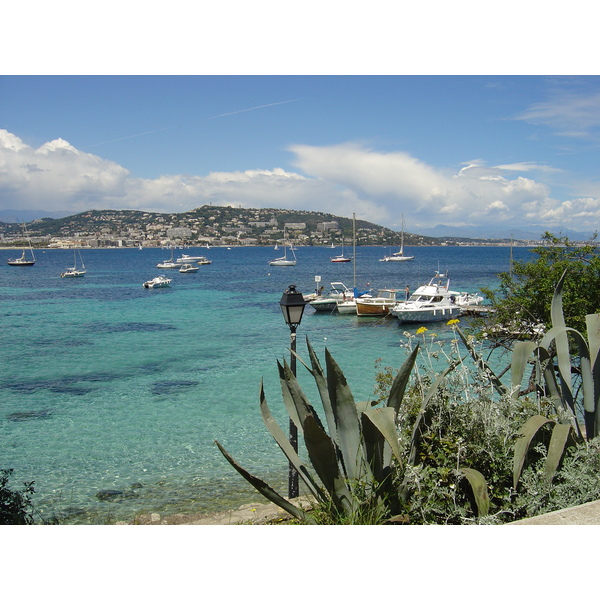 รูปถ่าย ฝรั่งเศส(France) คานส์(Cannes) เกาะแซ็งต์-มาร์เกอริต(Sainte Marguerite) 2004-05 67