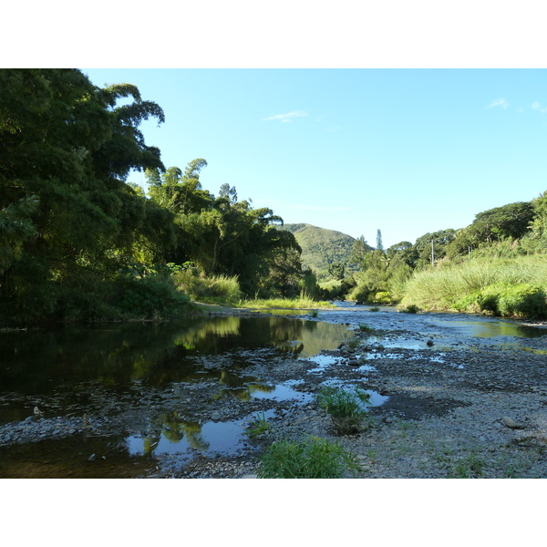 รูปถ่าย นิวแคลิโดเนีย(New Caledonia) ถนนจากกานาลาไปลาฟัว(Canala to La Foa road) 2010-05 55