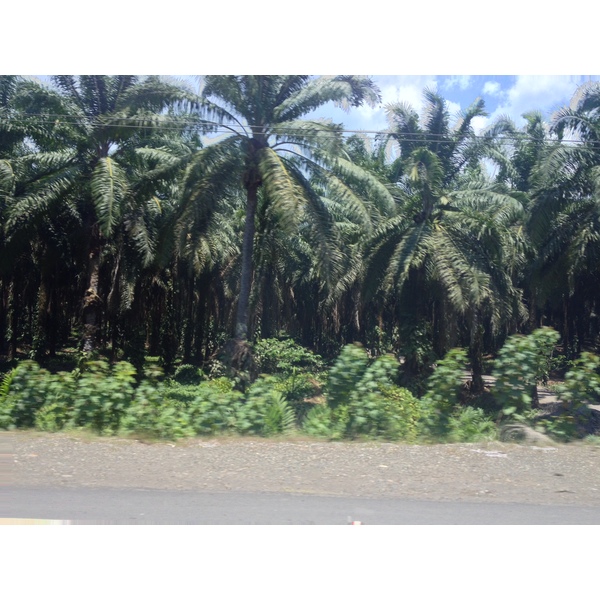 รูปถ่าย คอสตาริกา(Costa Rica) ฆาโก(Jaco) 2015-03 58