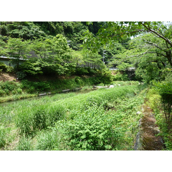 รูปถ่าย ญี่ปุ่น(Japan) เกียวโต(Kyoto) สถานียาเซะฮิเอซังงุจิ(Yase Hieizanguchi Station) 2010-06 17